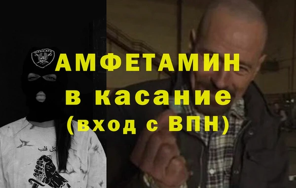 стаф Алзамай