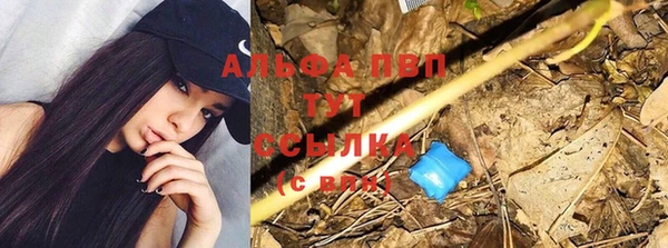 спиды Алексеевка
