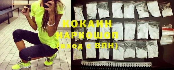 стаф Алзамай