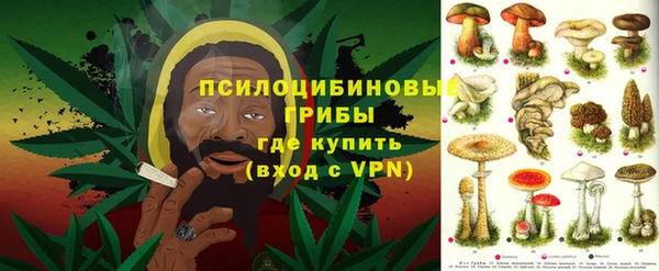 спиды Алексеевка