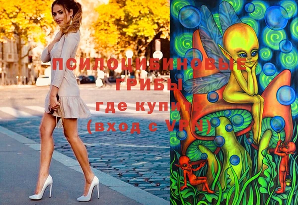 стаф Алзамай