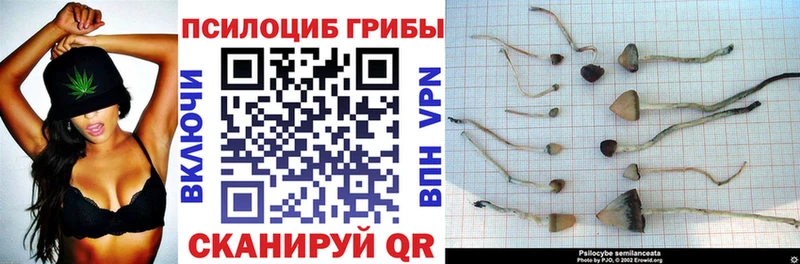 даркнет сайт  hydra сайт  Псилоцибиновые грибы ЛСД  Копейск 